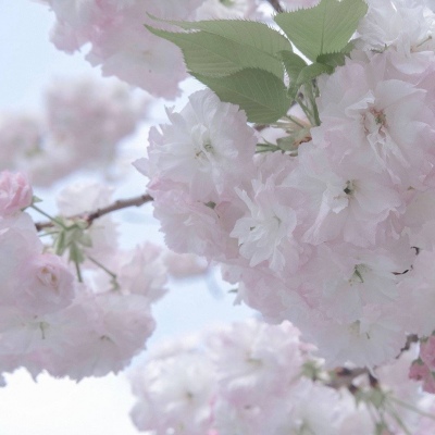 Furry插画氛围技巧兽圈群